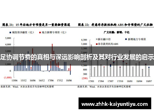 足协调节费的真相与深远影响剖析及其对行业发展的启示